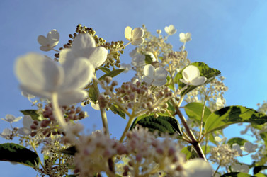 Similar image 22317528