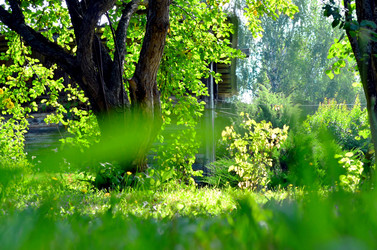 Similar image 22317532