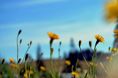 Similar image 22317533