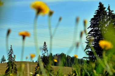 Similar image 22317535