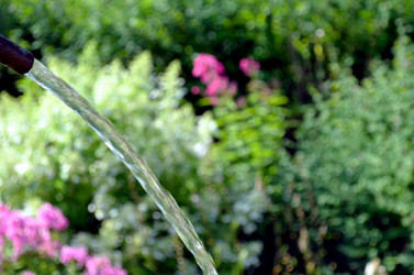 Similar image 22317536