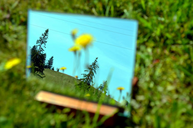 Similar image 22317538