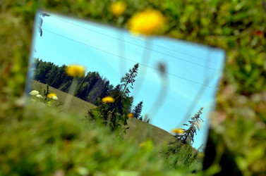 Similar image 22317539