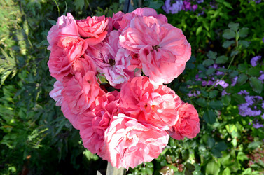 Similar image 22317540