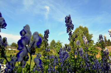 Similar image 22317541