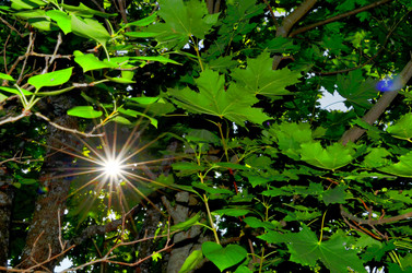 Similar image 22317542