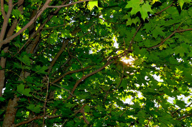 Similar image 22317543