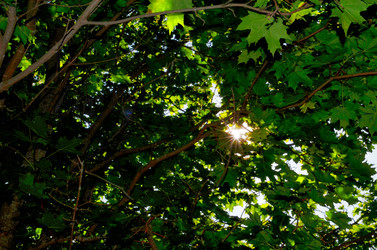 Similar image 22317544