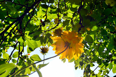 Similar image 22317545