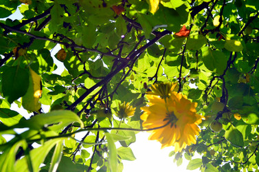 Similar image 22317546