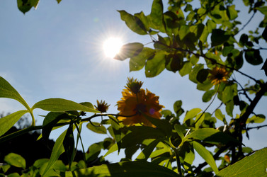 Similar image 22317547