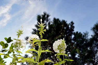 Similar image 22317549