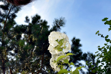 Similar image 22317550