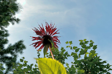 Similar image 22317551