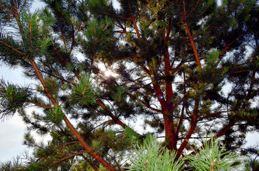 Similar image 22317552