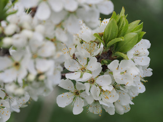 Similar image 22319733