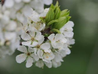 Similar image 22319734