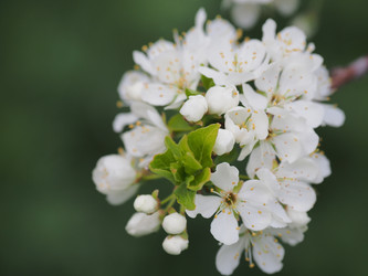 Similar image 22319735