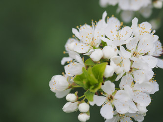 Similar image 22319736