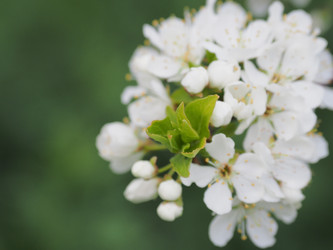 Similar image 22319737