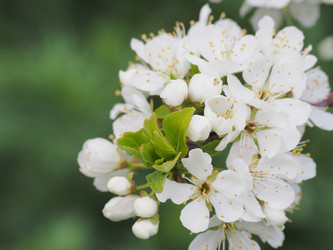 Similar image 22319738