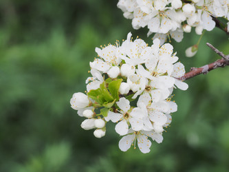 Similar image 22319739