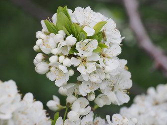 Similar image 22319740