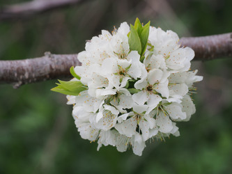 Similar image 22319741