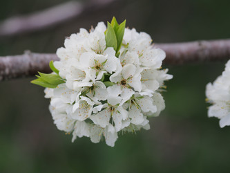 Similar image 22319742