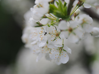 Similar image 22319743