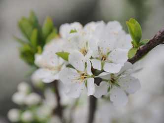 Similar image 22319744