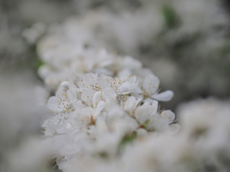 Similar image 22319745