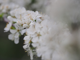 Similar image 22319746