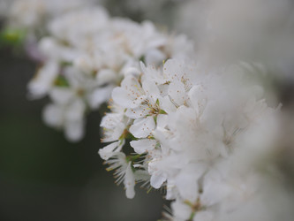 Similar image 22319747