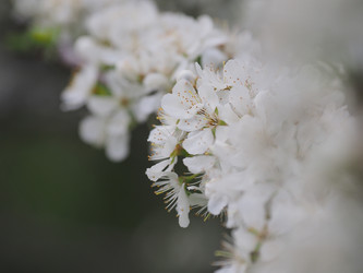 Similar image 22319748