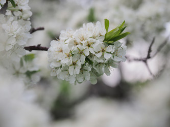 Similar image 22319749