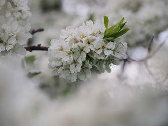 Similar image 22319750