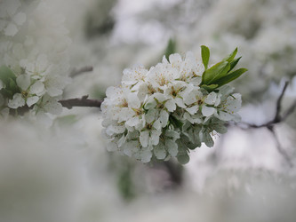 Similar image 22319751