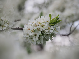 Similar image 22319752