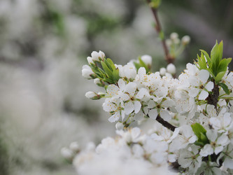 Similar image 22319753