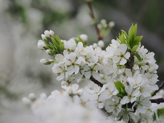 Similar image 22319754