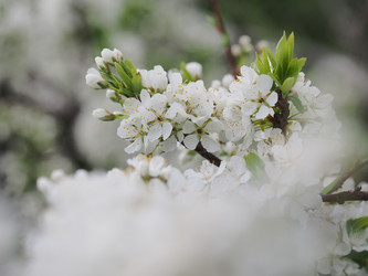 Similar image 22319755