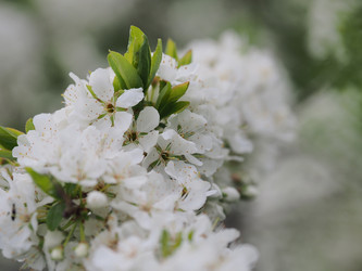 Similar image 22319756