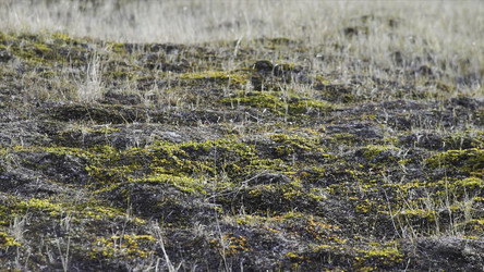 Similar image 22331096