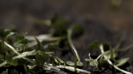 Similar image 22331552