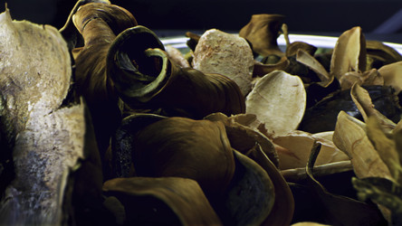 Similar image 22331556