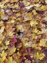 Similar image 22318599