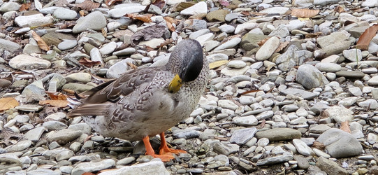 Similar image 22317563