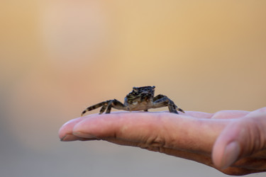 Similar image 22318324