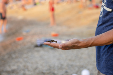 Similar image 22317565